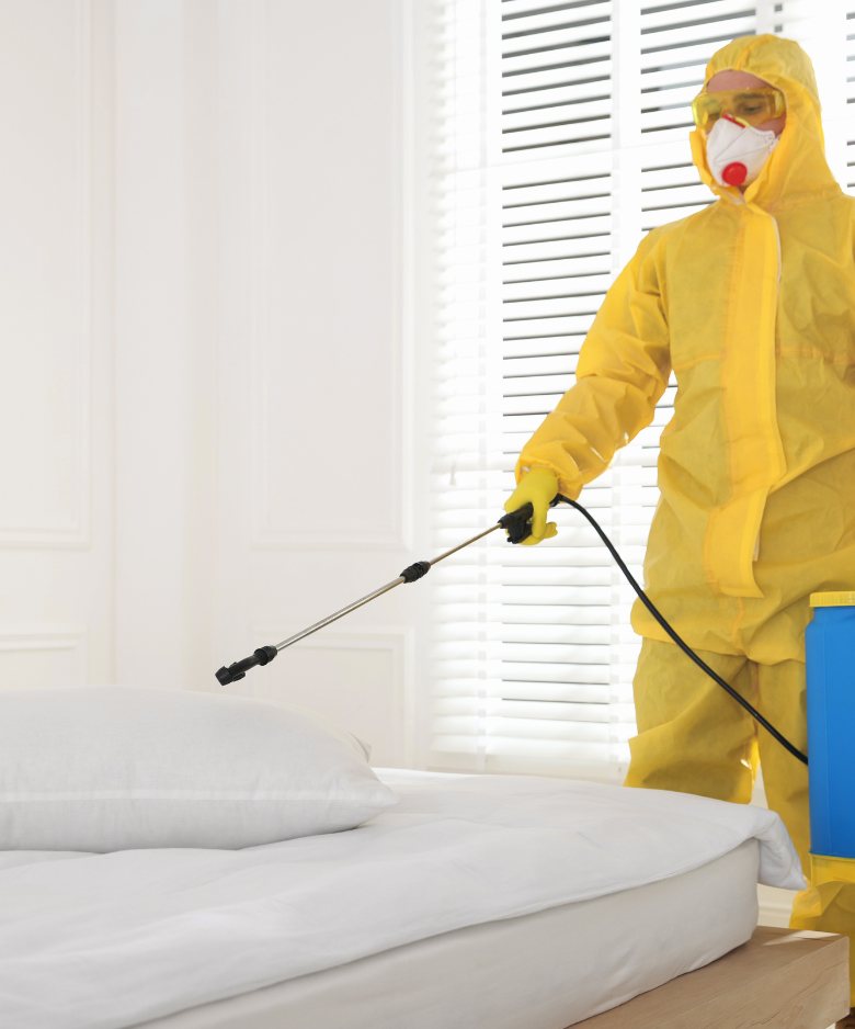 Professional Pest Control Team in Forestville